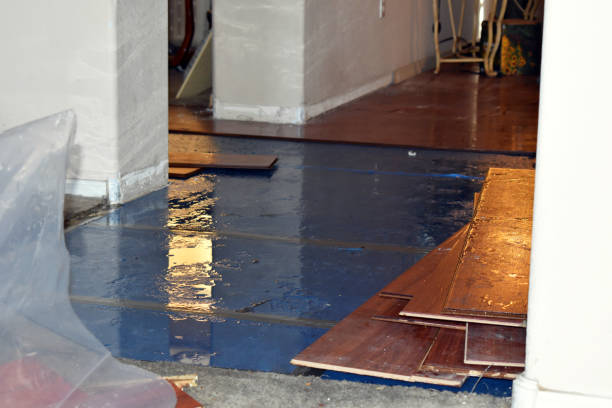 Professional Water Extraction technician working in Davenport, CA